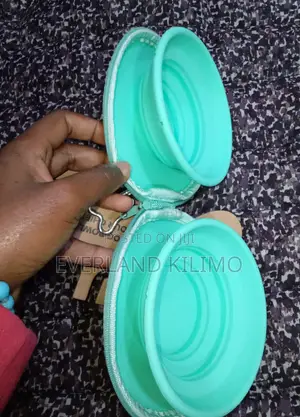 2 in 1 Portable Travel Dog Bowls
