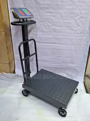 Accurate 600kgs Platform Scale