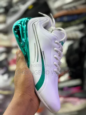 Puma Ferraris