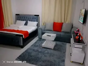 Fully Furnished Studio Apartments in Ruaka Town Decimo