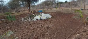 Gardening and Landscaping Services