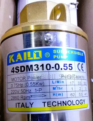 Kailo 0.75hp 50m Submersible Electric Pump 3000l/H With Ccontrol Box