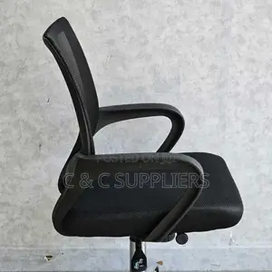 Adjustable Home Mesh Chair.