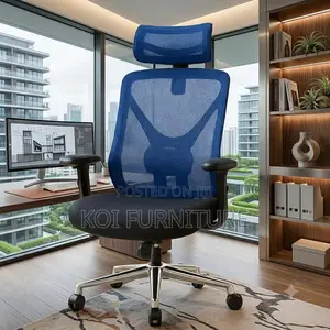 Office Chairs; Ergonomic Office Chair With Blue Style Backrest