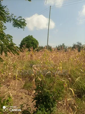 1/4 Kitengela Ostrich Farm 1.5km Off Tarmac