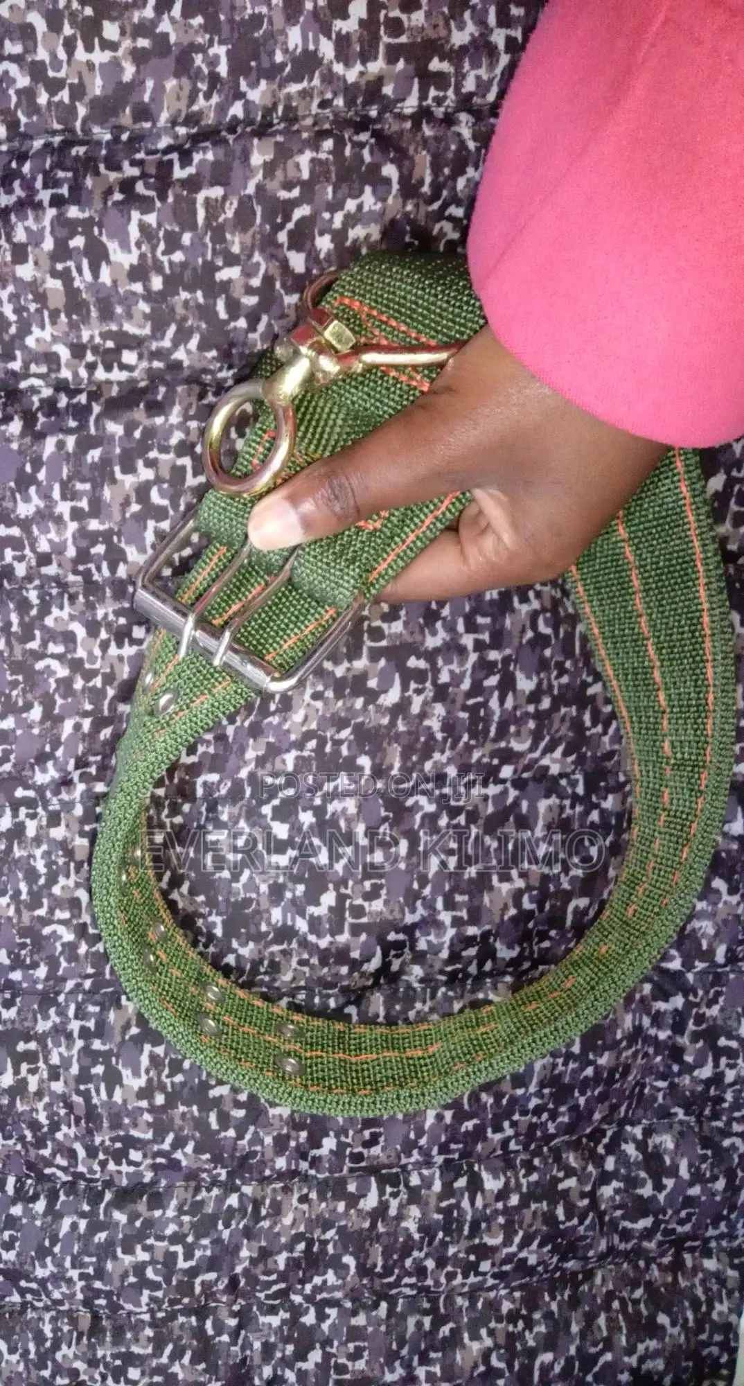 Dog Collar, Lightweight Adjustable