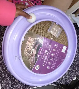 Interactive Cat Ball Track Toy