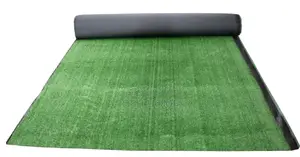 House Quality Artificial Grass Carpet