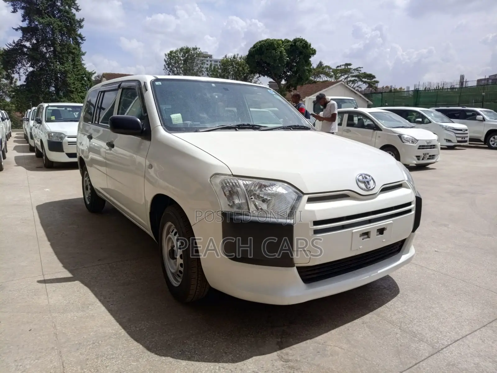Toyota Probox 2019 White