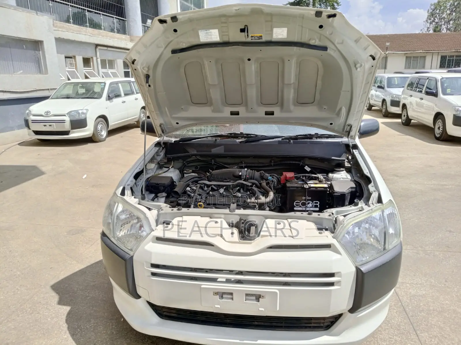 Toyota Probox 2019 White