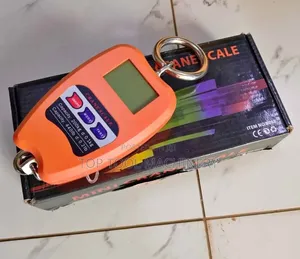 Affordable 200kgs Hanging Crane Scale