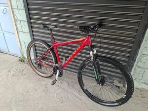 29er MTB Large