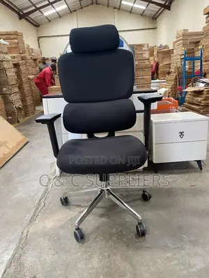 Orthopedic Fabric Chair.