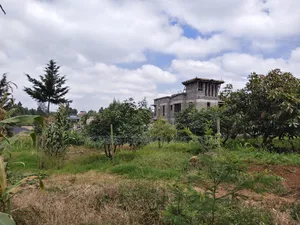 2 Acres Land for Sale in Kamangu