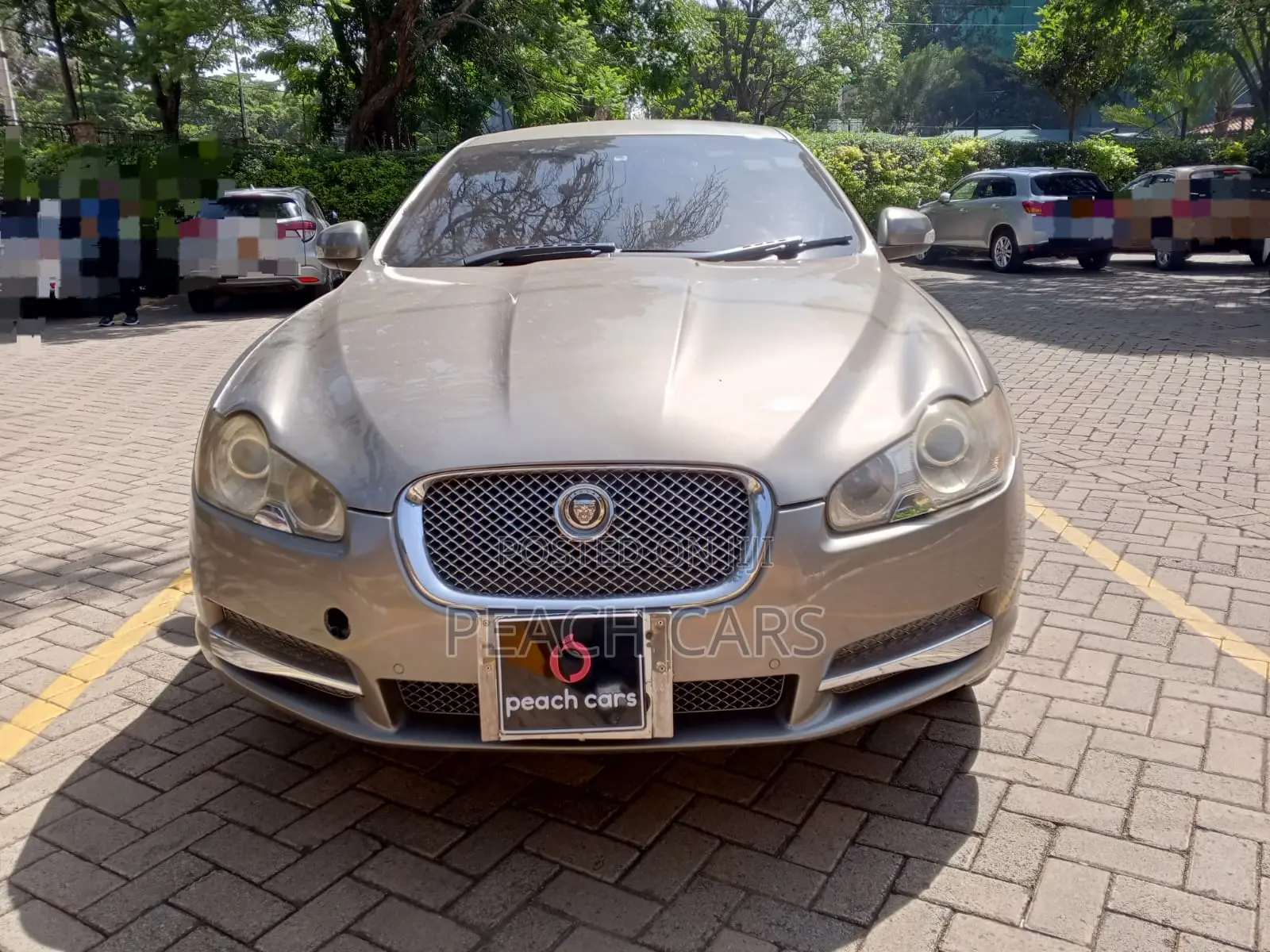 Jaguar XF 2009 Gray
