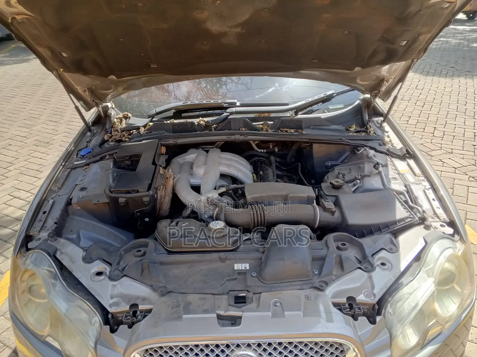 Jaguar XF 2009 Gray