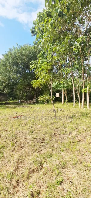 For Sale 1 Acre Prime Plot Diani
