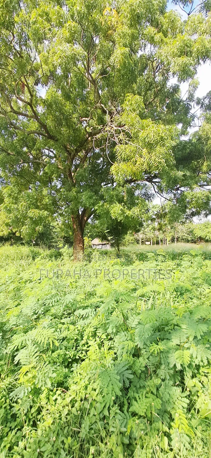 For Sale 1 Acre Prime Plot Diani