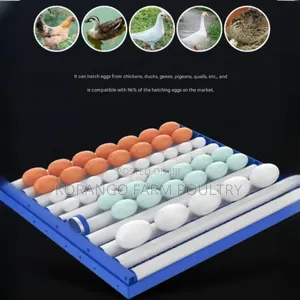 Drawer Type Automatic Eggs Incubator