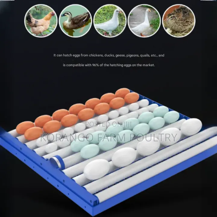 Drawer Type Automatic Eggs Incubator