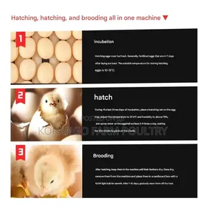 Drawer Type Automatic Eggs Incubator
