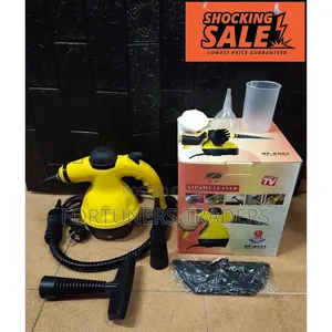 Handheld Steam Cleaner 1000w Portable High Temperature Steamer