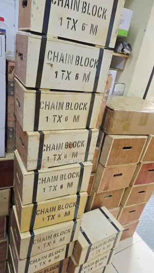 1 Ton Chain Block (6 Metres)