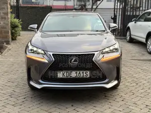Lexus NX 2014 Gray