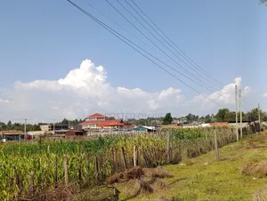 1⁄4 Plot for Sale in Kipkorgot Eldoret.