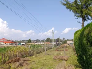1⁄4 Plot for Sale in Kipkorgot Eldoret.