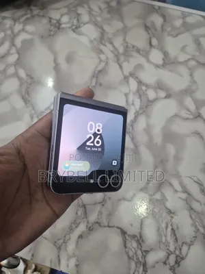 Samsung Galaxy Z Flip6 256 GB Gray