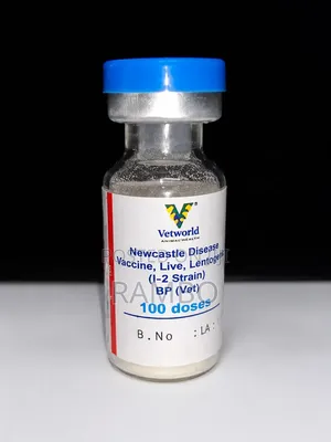 Newcastle Disease Vaccine for Chickens