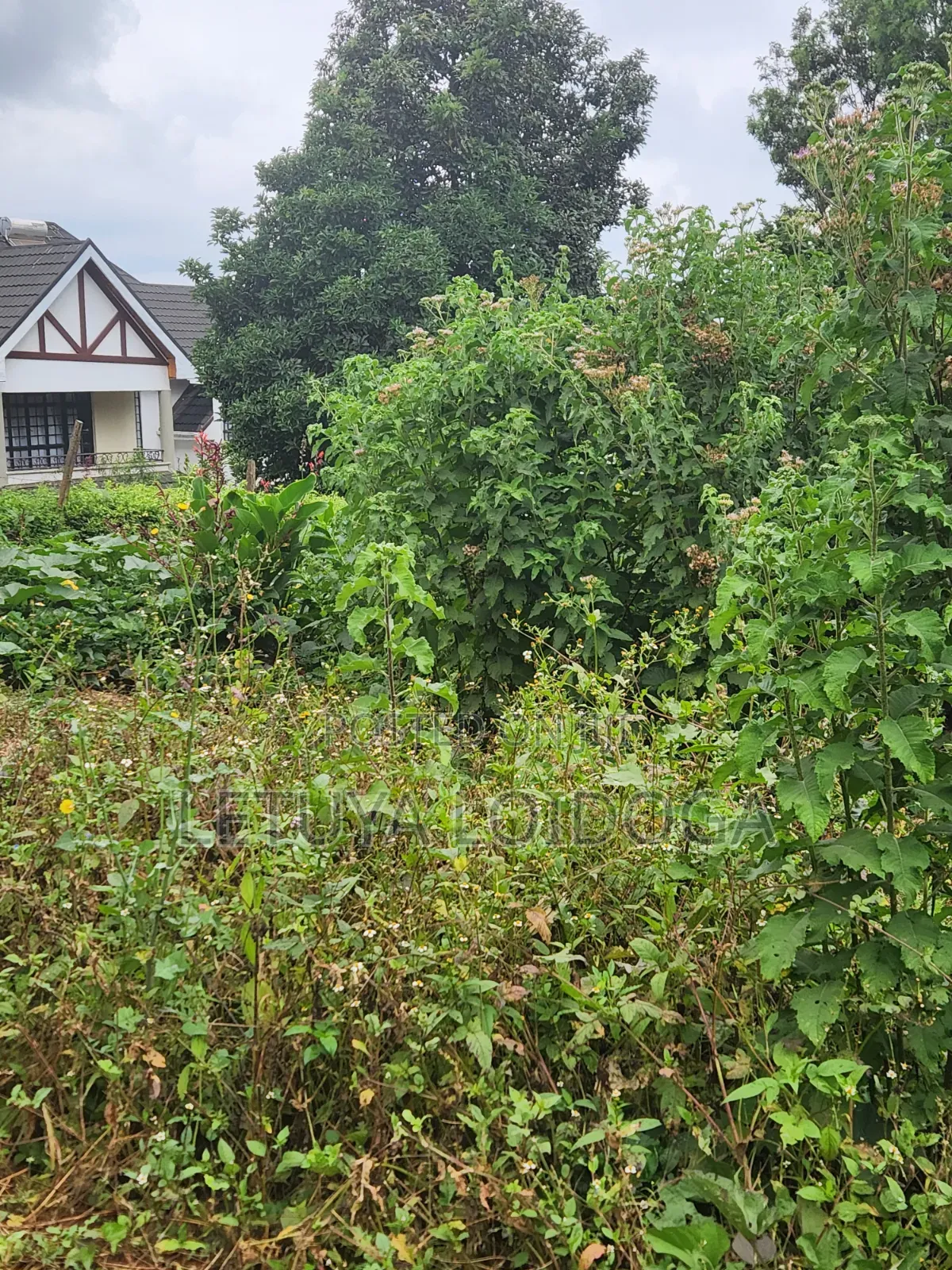 1⁄8 Acre Plots Kerarapon