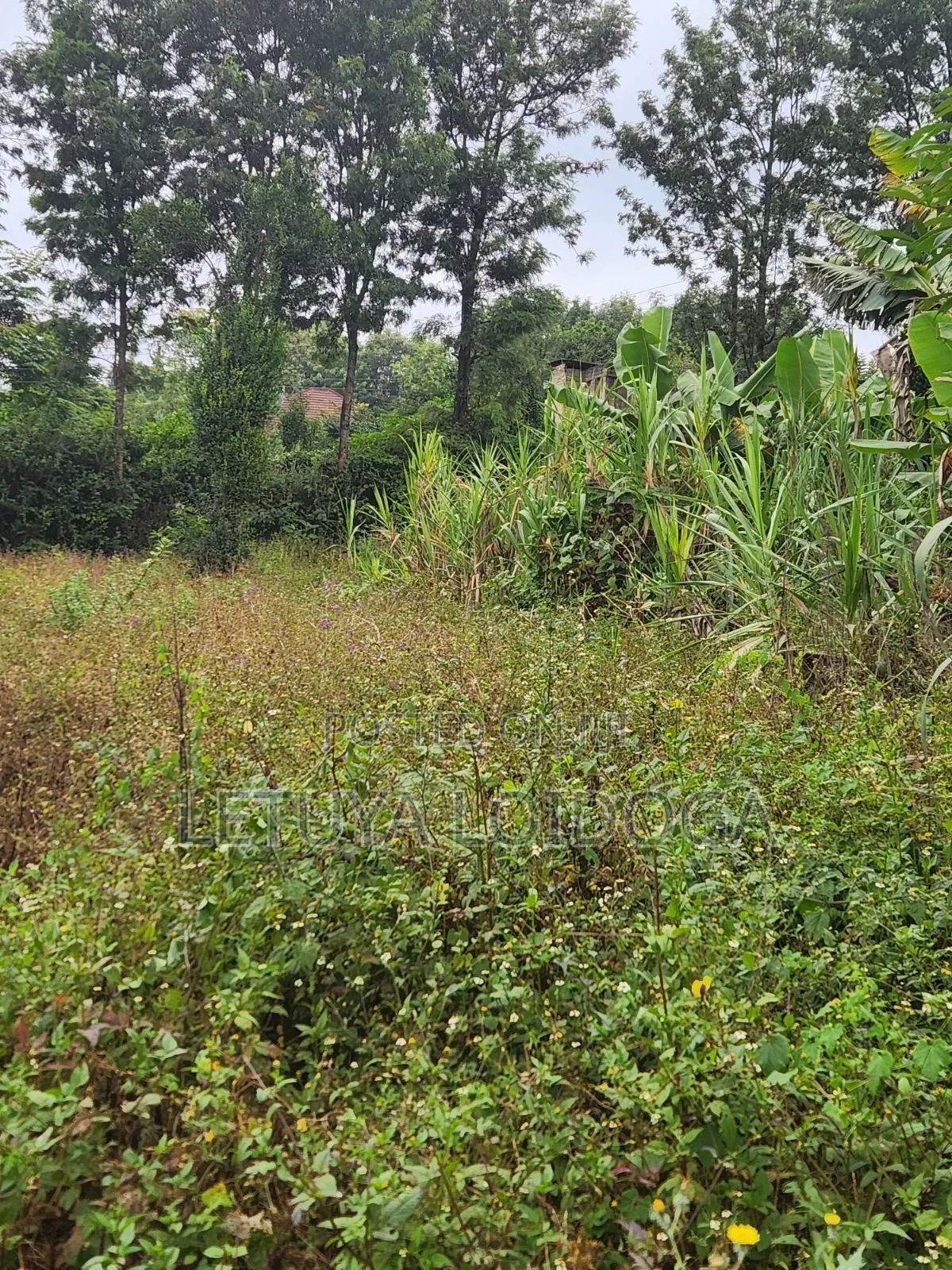 1⁄8 Acre Plots Kerarapon