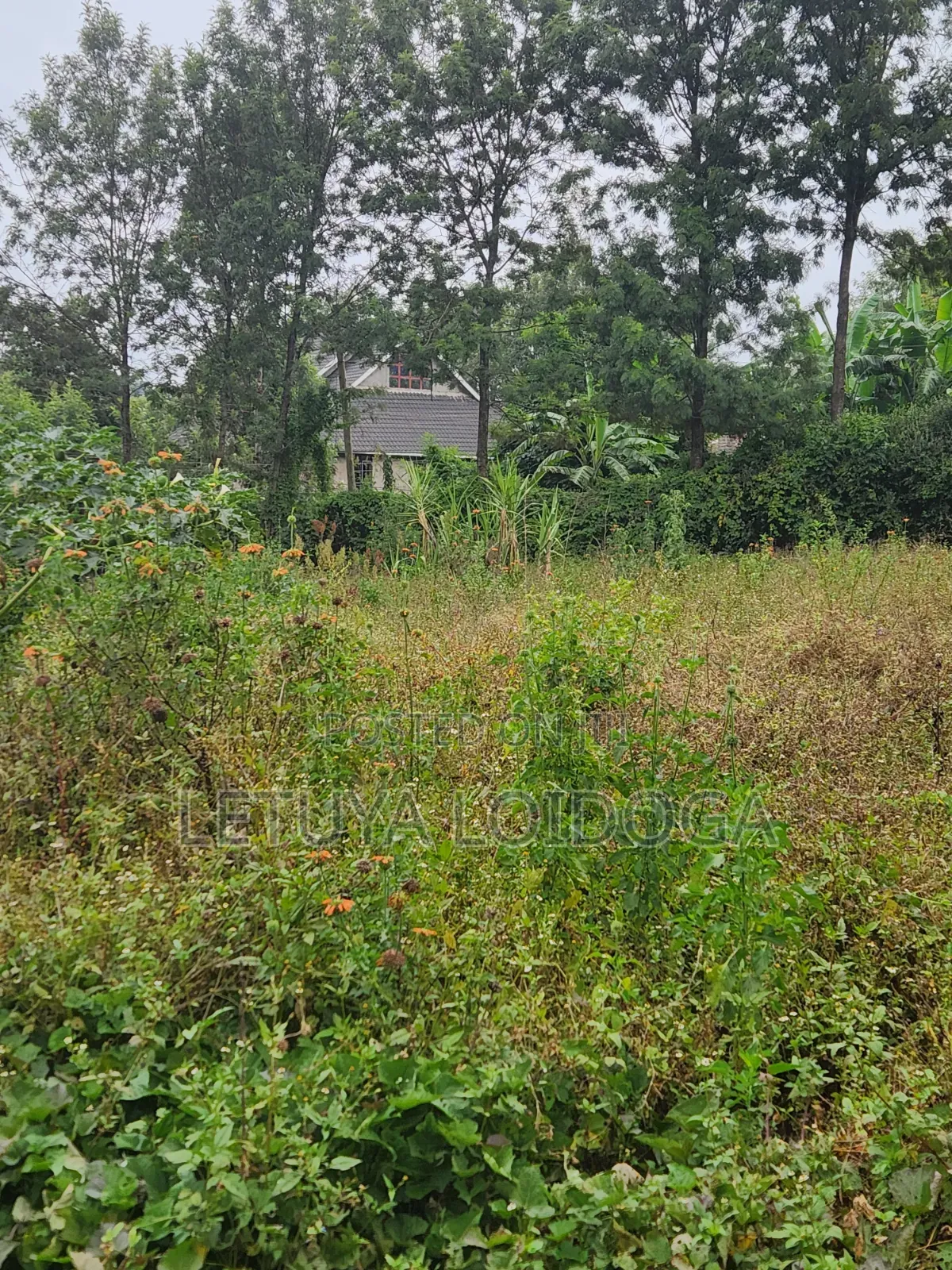 1⁄8 Acre Plots Kerarapon