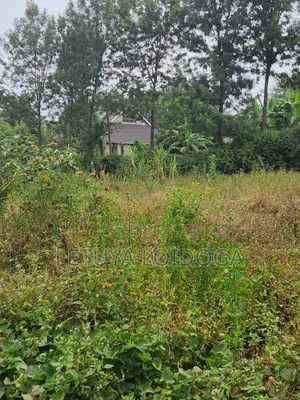 1⁄8 Acre Plots Kerarapon