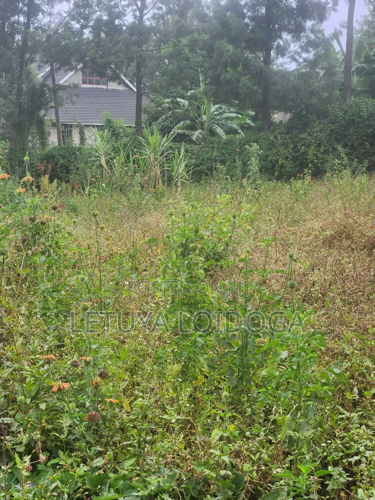 1⁄8 Acre Plots Kerarapon