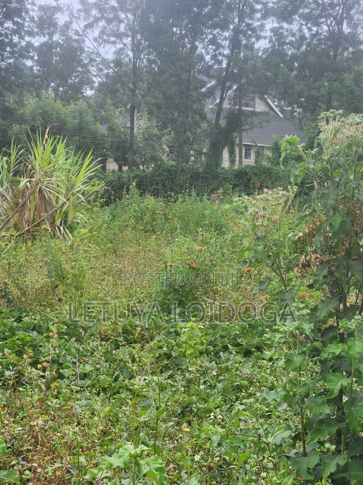 1⁄8 Acre Plots Kerarapon