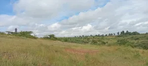 22.5 Acres in Thika
