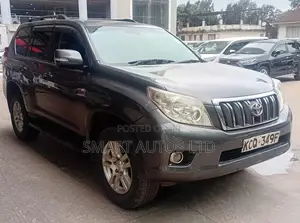 Toyota Land Cruiser 2010 Brown