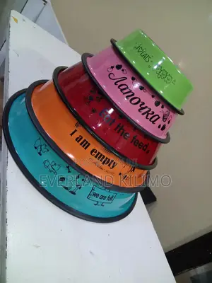 Dogs Feeding Bowls