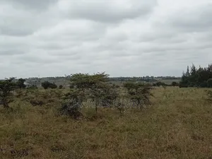 1/8 Plot in Oloika, Acacia