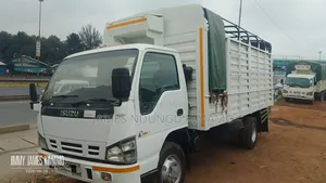 Isuzu Truck NPR on Sale