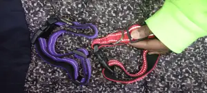 Reflective Dog Collar - Colored