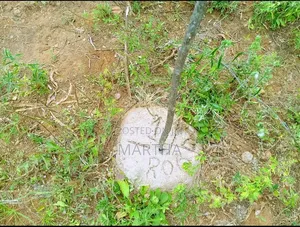 Affordable Plots in Matuu Ekalakala