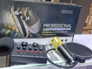 Bm800 Studio Condenser Mic With V8 Sound Card Bundle
