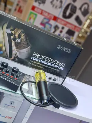 Bm800 Condenser Mic Kit With V8 Audio Interface and Stand