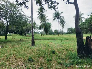  Unbeatable Value in Msambweni – 18 Acres for Only KSH 8m! 