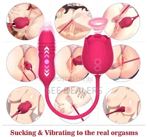 2 in 1 Rose Sex Toy, Dildo Vibrator With Anal Plug,Butt Plug End