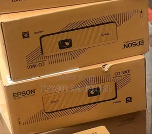 Epson Co-W01 Projectors